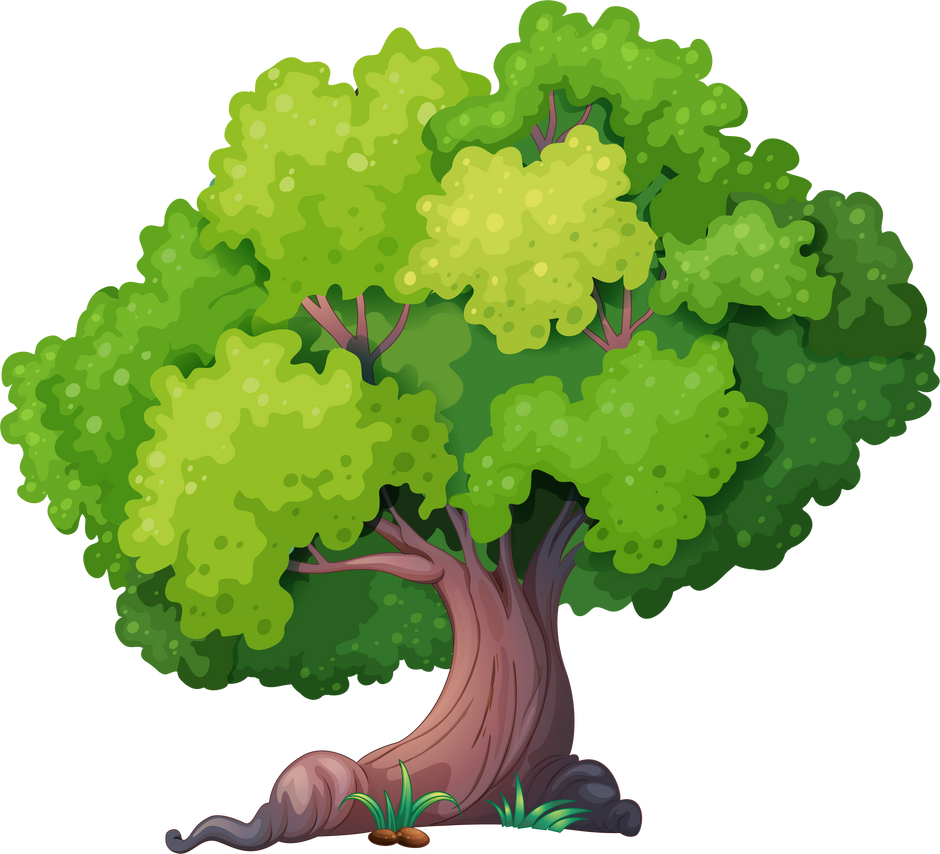 Green Tree Illustration